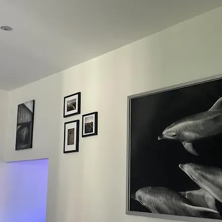 Ocean Con Letto Ad Acqua Apartment Delebio