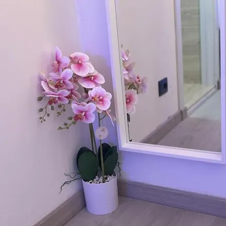 Ocean Con Letto Ad Acqua Apartment *