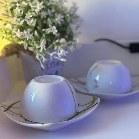 Ocean Con Letto Ad Acqua Apartment Delebio